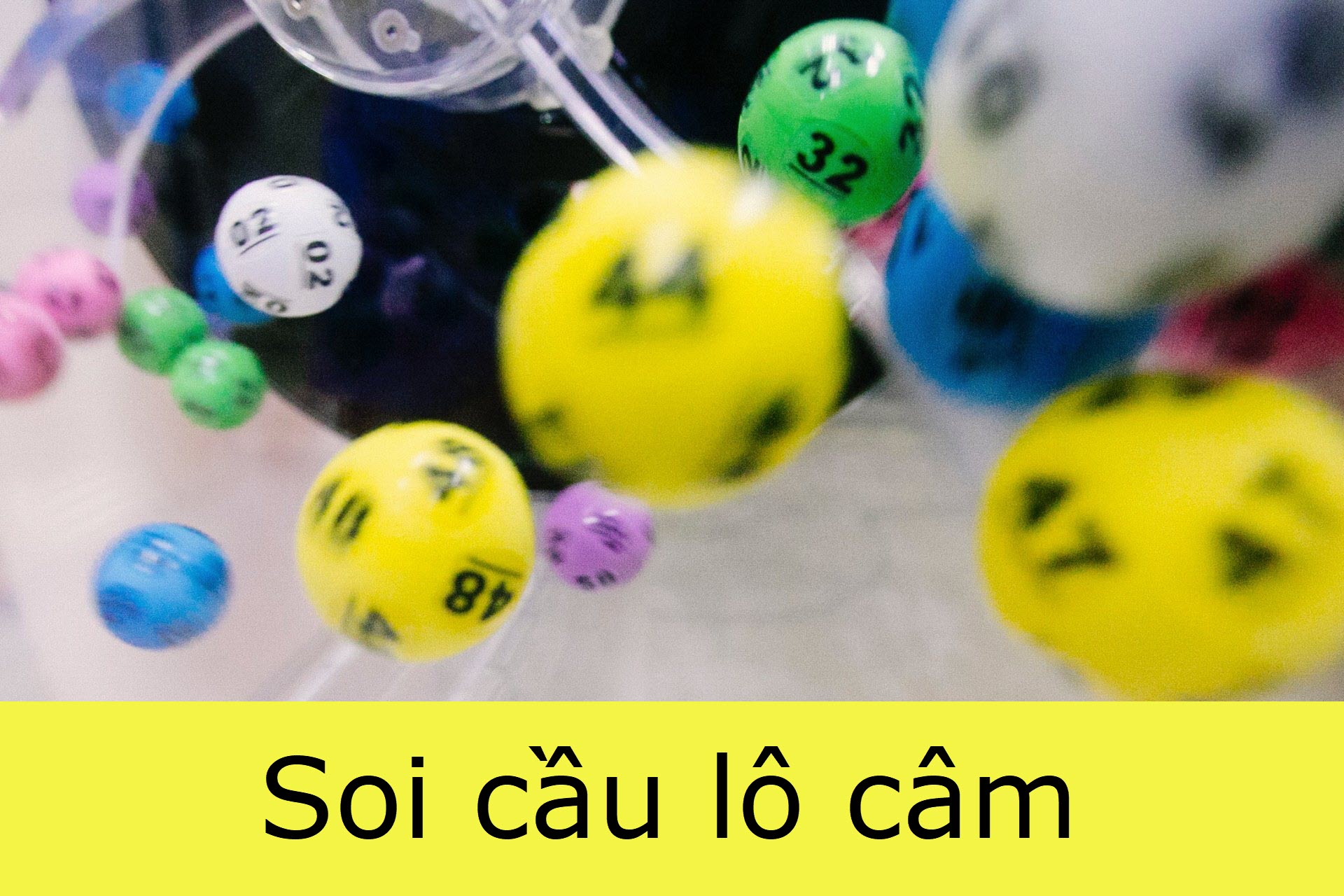 soi cầu lô câm